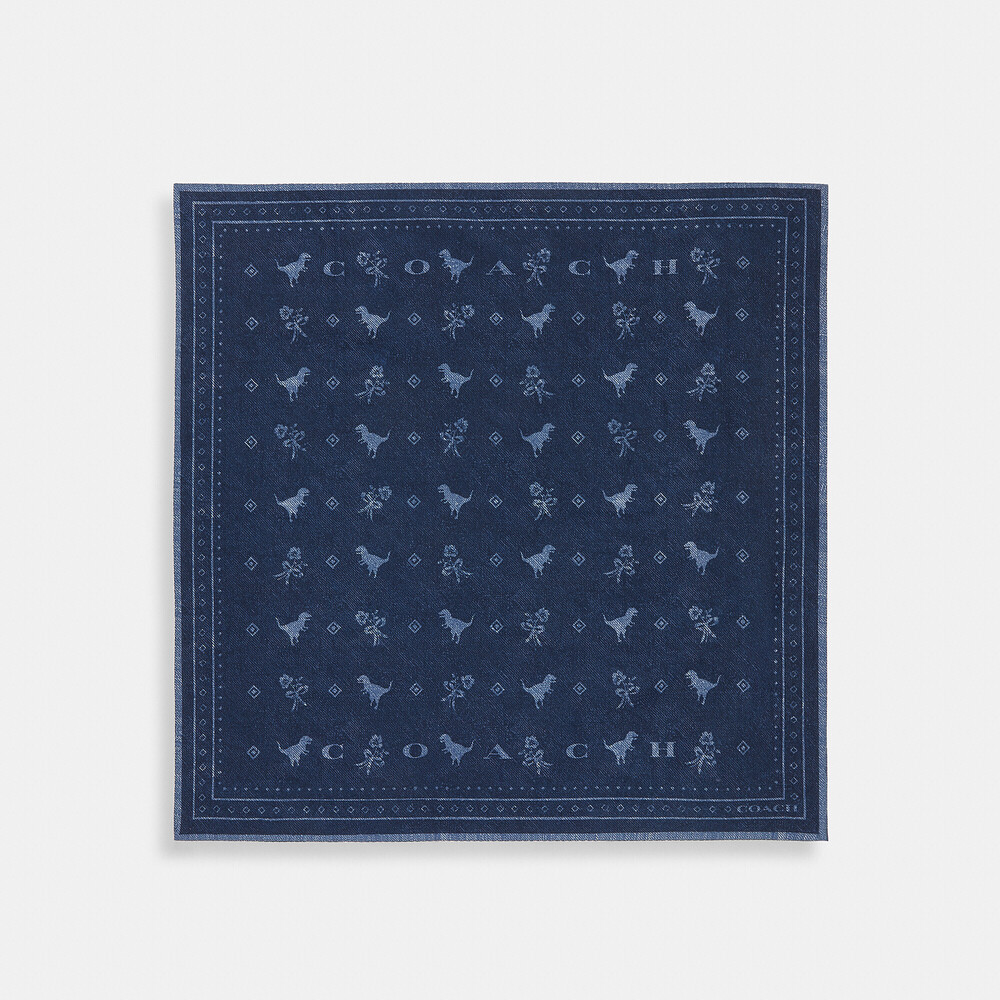Coach 🆕 Dino Print Bandana